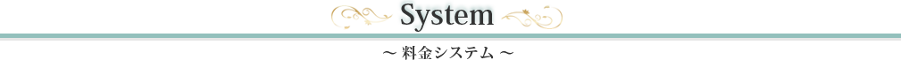 料金システム